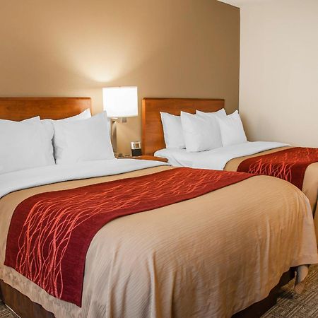 Comfort Inn Dickinson Ngoại thất bức ảnh